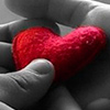 ¡Celebra el amor y la amistad en CG! ¡Celebra el amor y la amistad en CG!